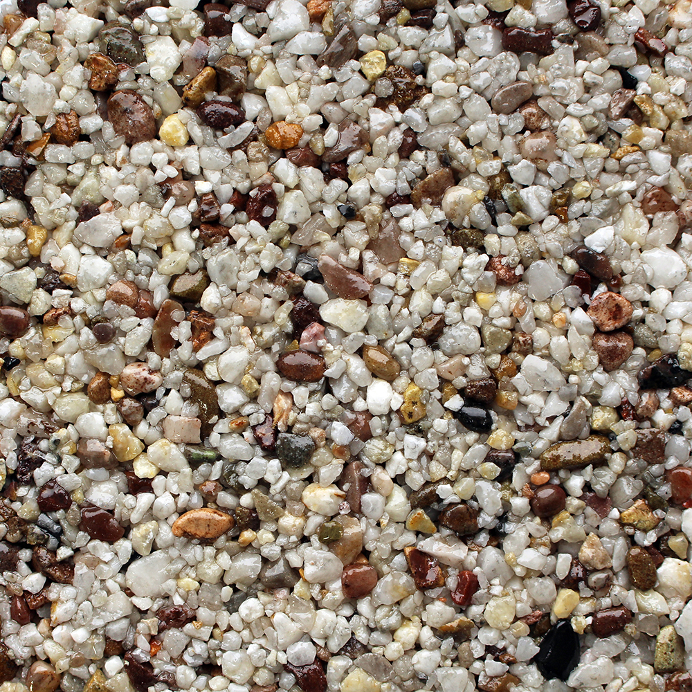 Orchid Resin Bound